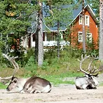 Tilhi * Rovaniemi
